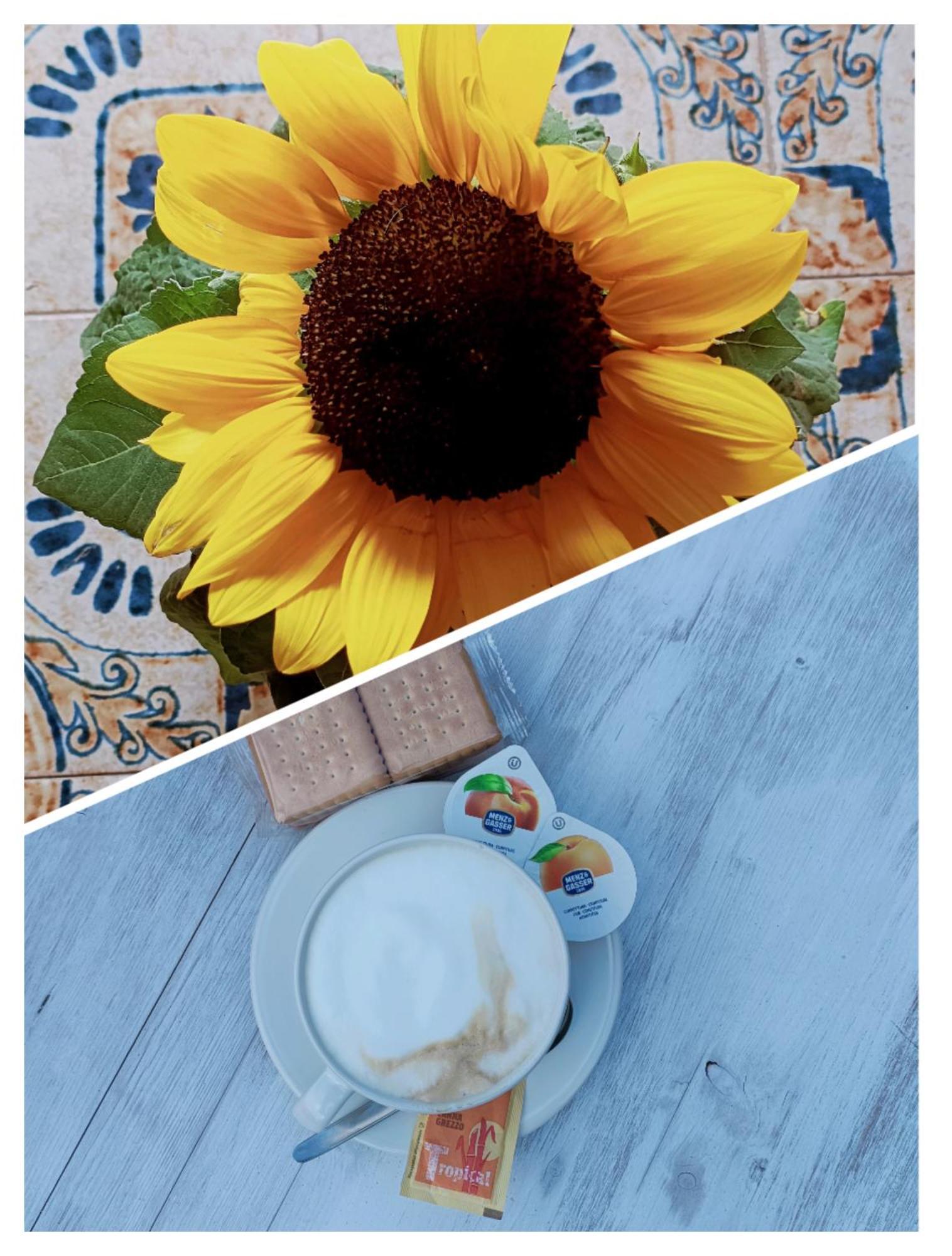B&B Il Girasole Finale Ligure Dış mekan fotoğraf